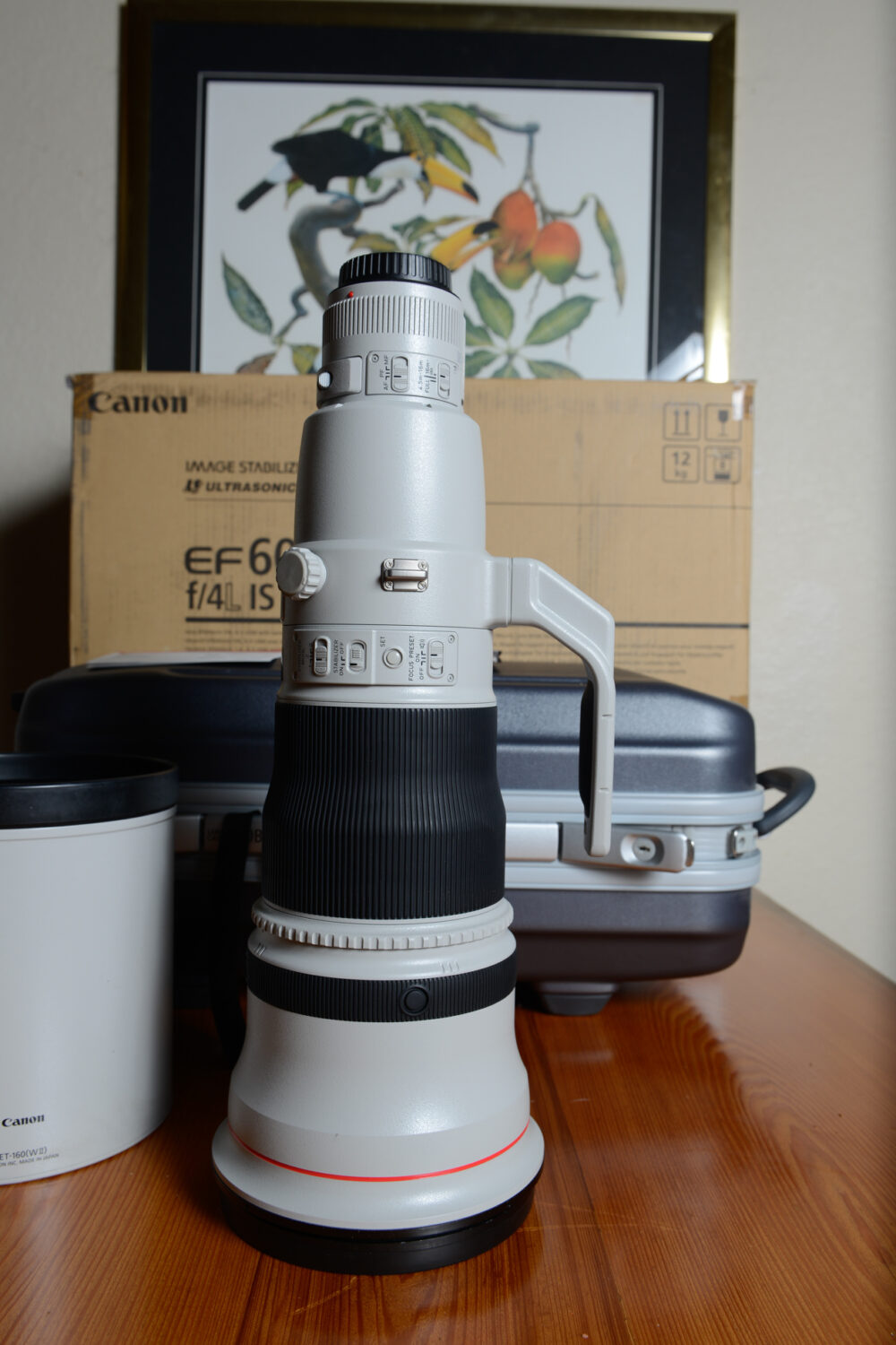 Canon EF 600mm f/4L IS III USM Lens - Image 2