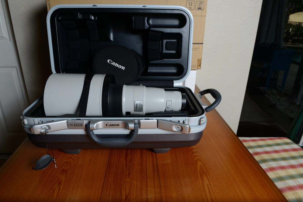 Canon EF 600mm f/4L IS III USM Lens