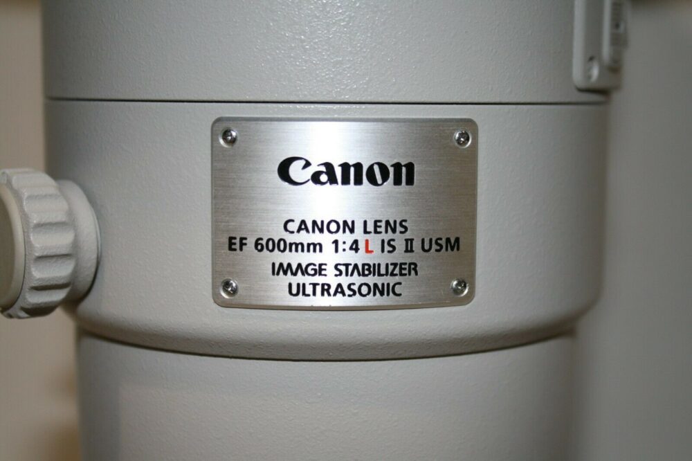 Canon EF 600mm f/4L IS III USM Lens - Image 4