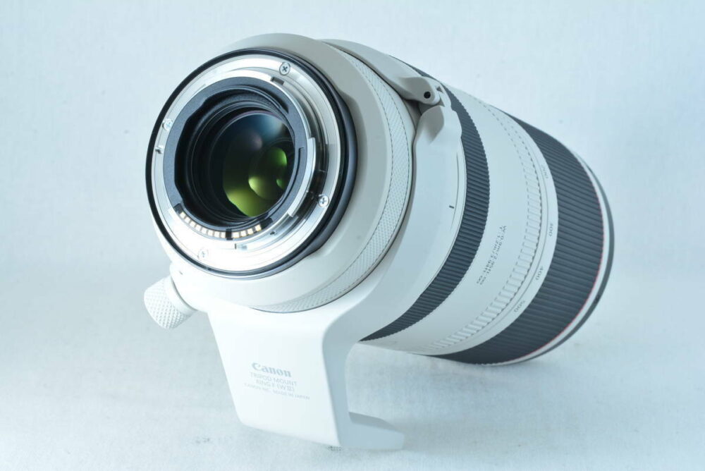 Canon RF 100-500mm f/4.5-7.1L IS USM Lens - Image 3