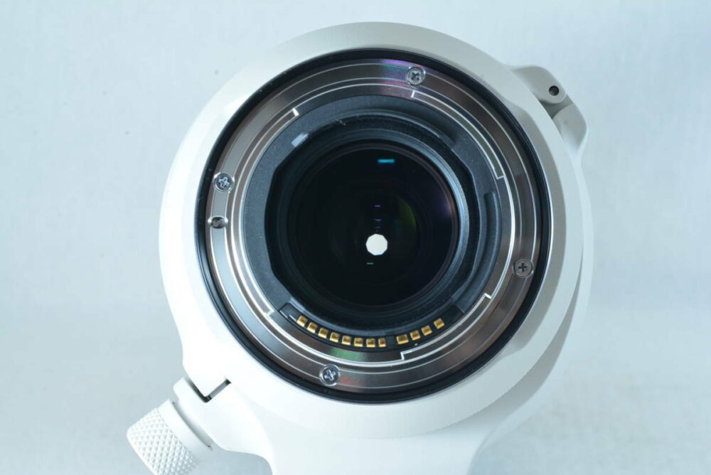 Canon RF 100-500mm f/4.5-7.1L IS USM Lens - Image 7